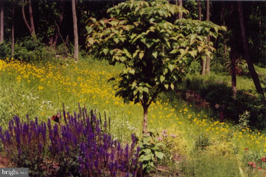 299 Mountain Road Boyertown, PA 19512 - Photo 30 of 35 Gallery Image 30