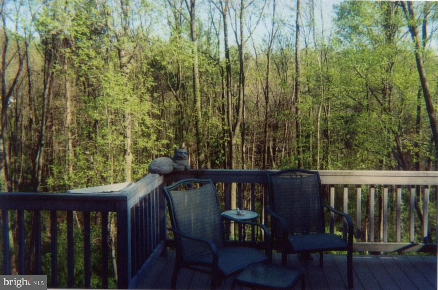 299 Mountain Road Boyertown, PA 19512 - Photo 34 of 35 Gallery Image 34