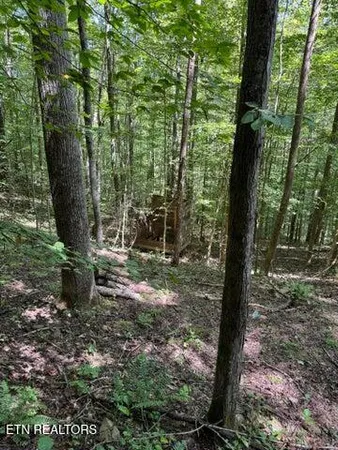 $299,000 | 691-695 Blue Rdg Church Road, Pineville, KY 40977