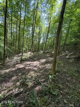 $299,000 | 691-695 Blue Rdg Church Road, Pineville, KY 40977