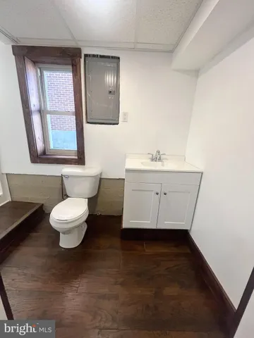 a view of a swimming pool with lawn chairs and a large tree