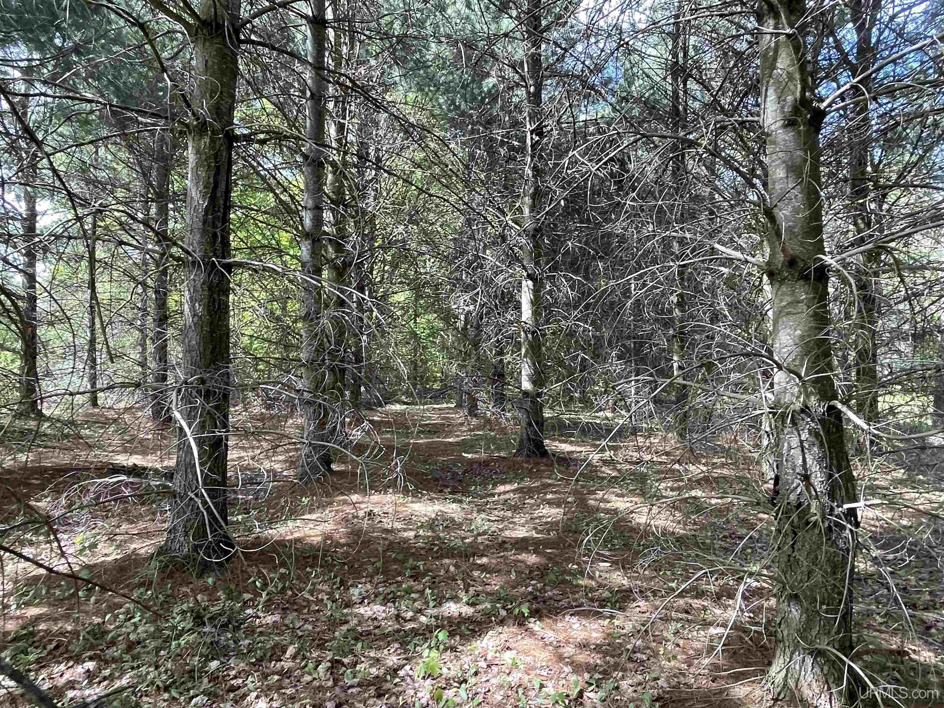 4855 N Camp 23 Road Germfask, MI 49836 - Photo 19 of 28