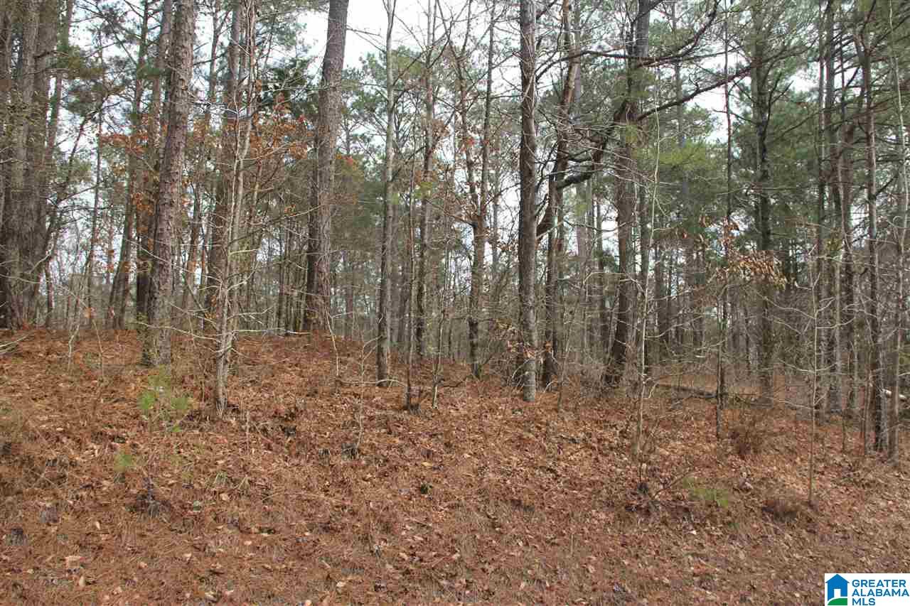 400 Eagle Lane Riverside, AL 35135 - Photo 1 of 8