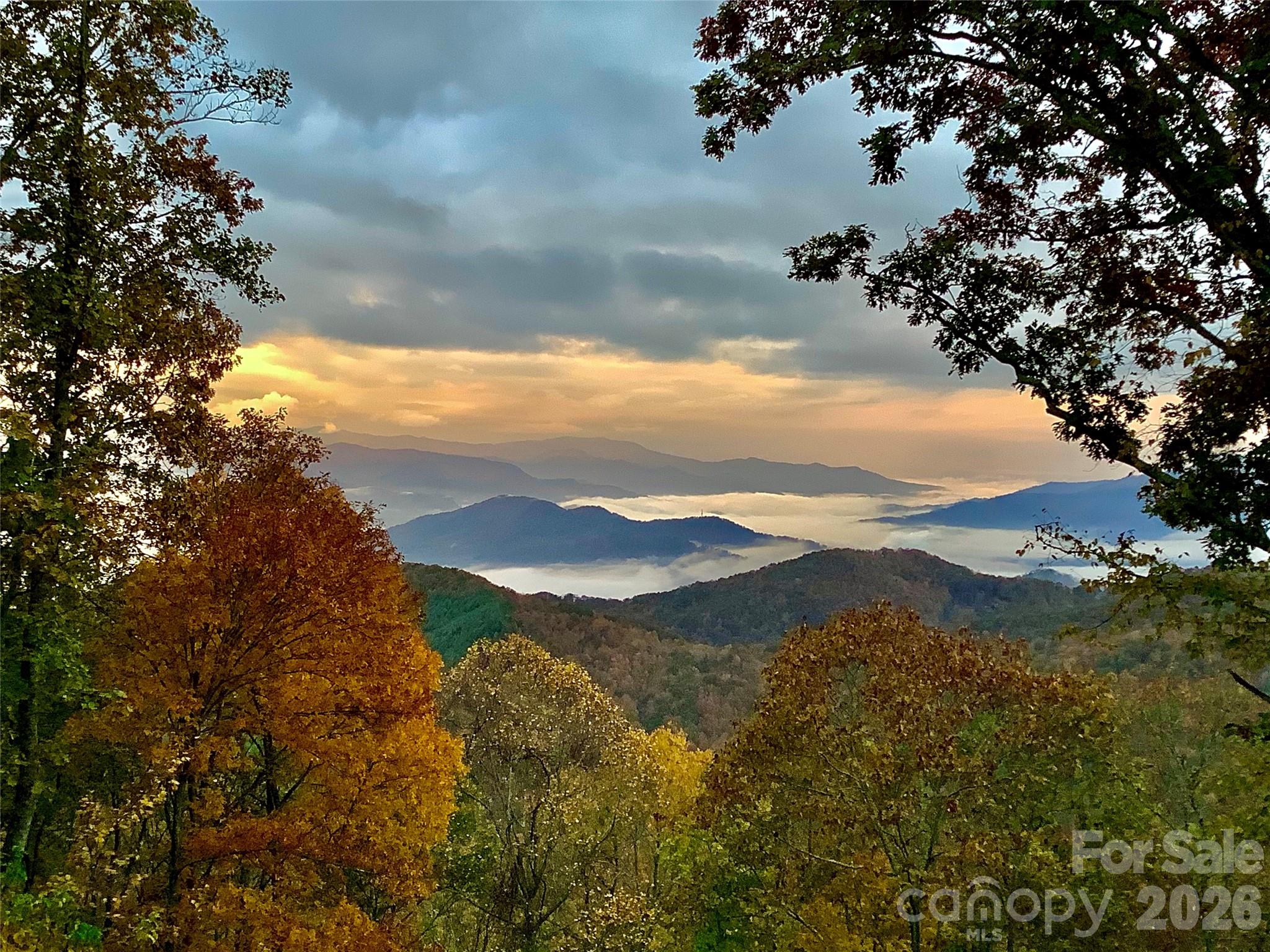 2223 Scarlet Ridge Cullowhee, NC 28723 - Photo 47 of 48