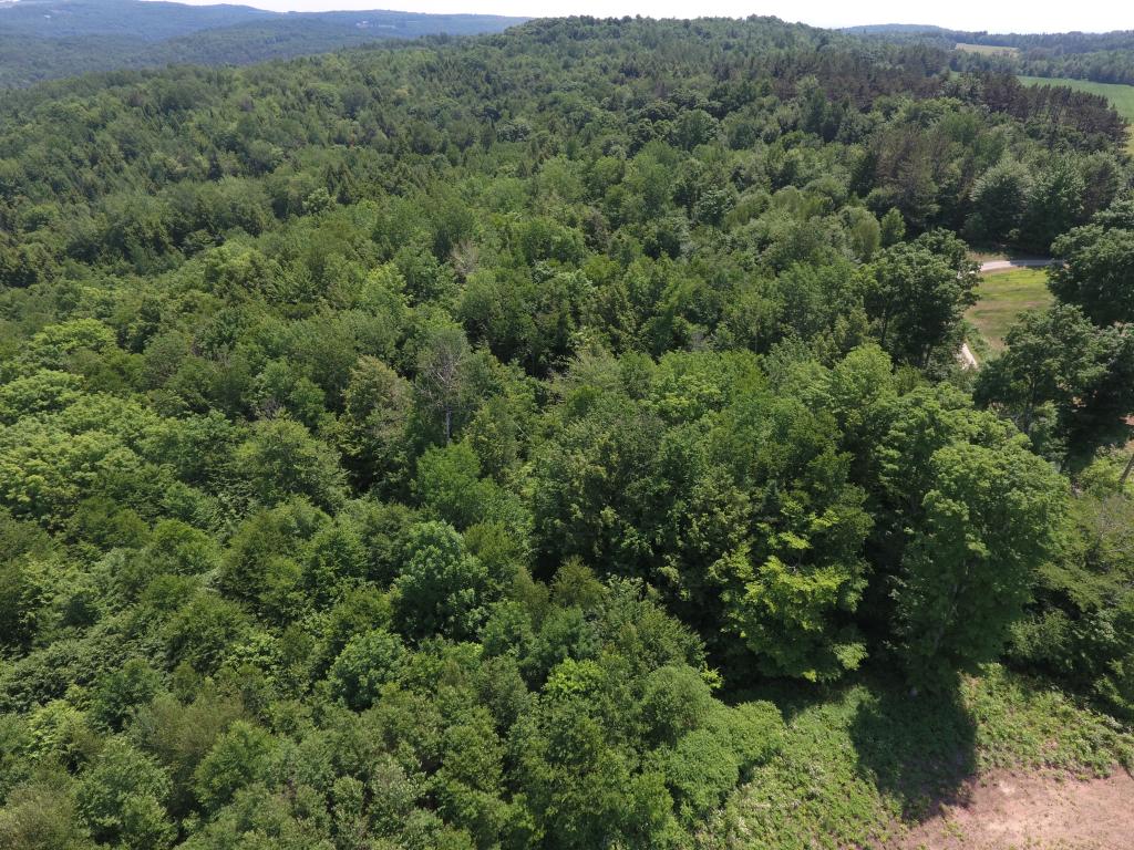 Lot C Darling Hill Road Newport, VT 05855 - Photo 2 of 3 Gallery Image 2