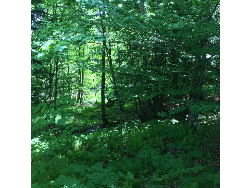 Lot C Darling Hill Road Newport, VT 05855 - Photo 3 of 3 Gallery Image 3