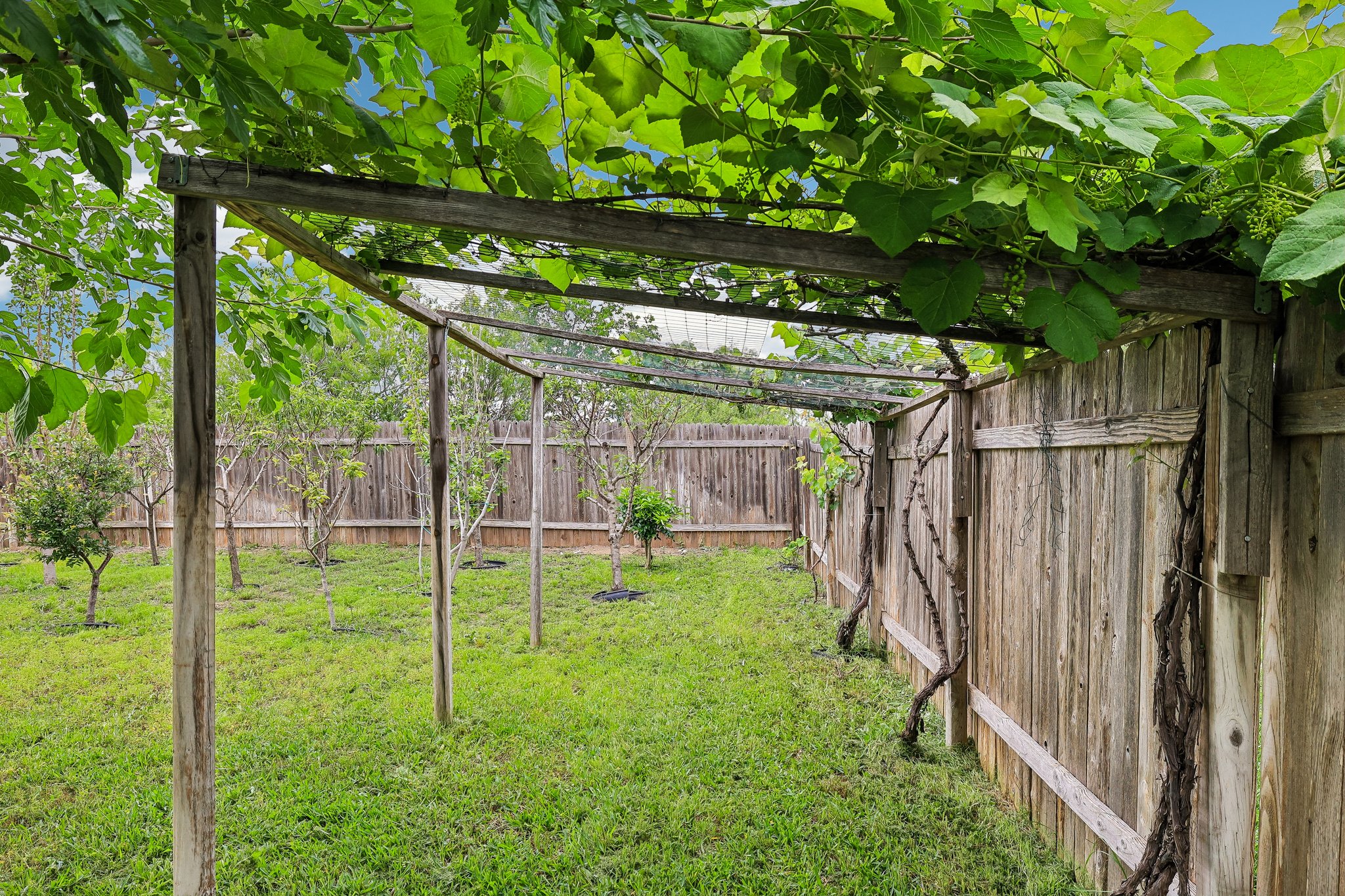 387 Guemal Road Buda, TX 78610 - Photo 36 of 39 Expansive backyard featuring a lush lawn, mature trees, and a wooden fence