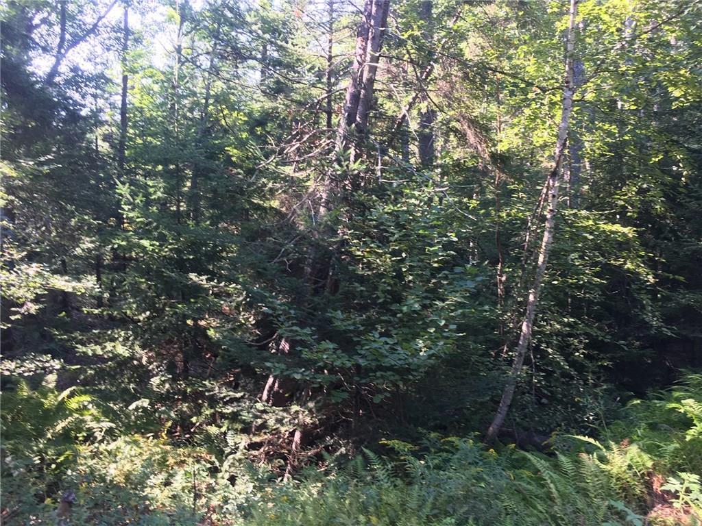 0 Brightwater Road Phippsburg, ME 04562 - Photo 5 of 8 Photo