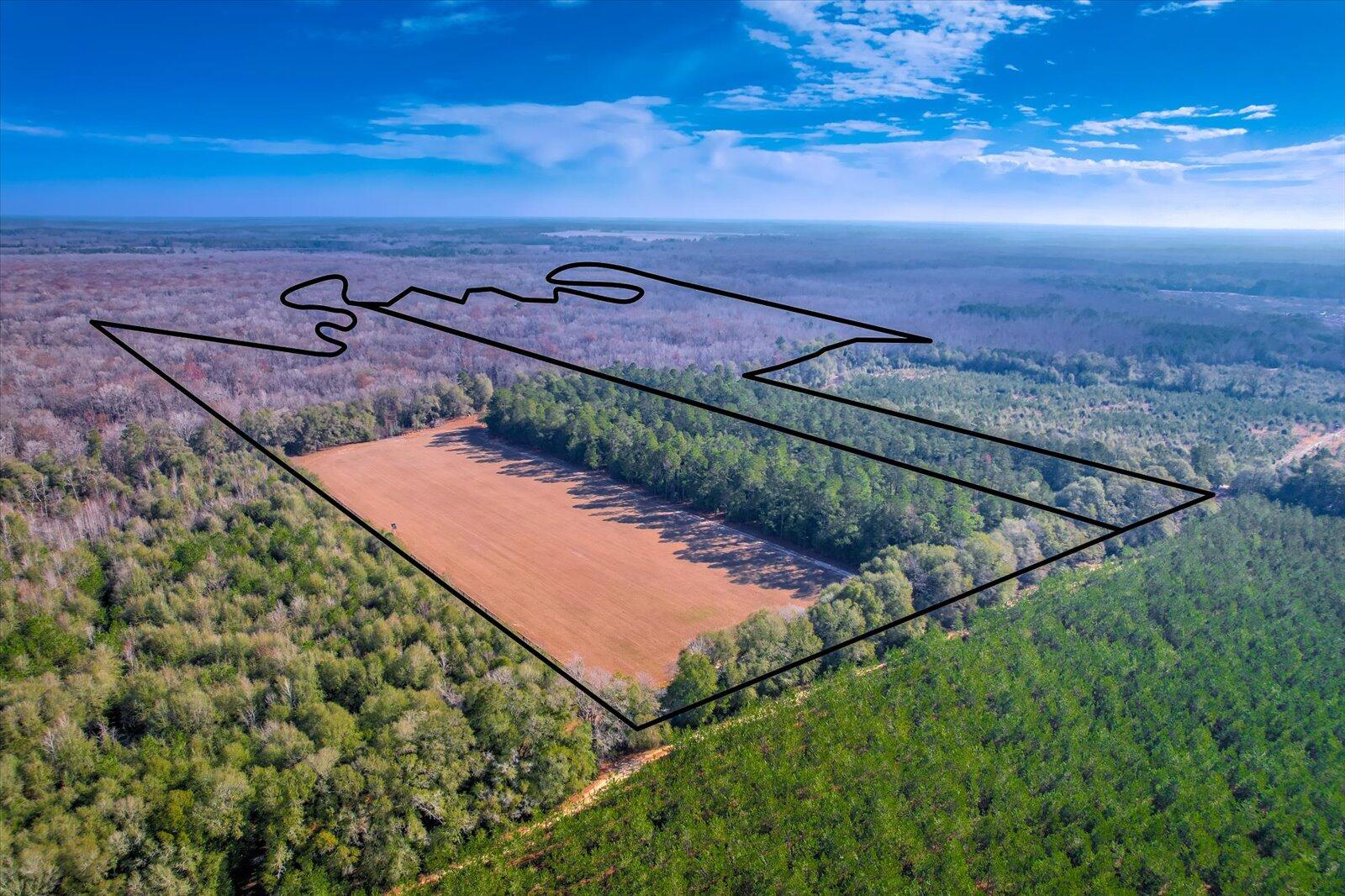 1114 Lott Bluff Road Blackville, SC 29817 - Photo 6 of 164