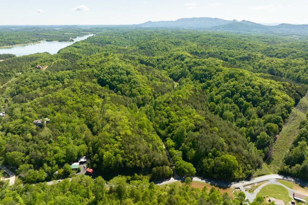 655 Lane Hollow Road Sevierville, TN 37876 - Photo 61 of 69 Gallery Image 61