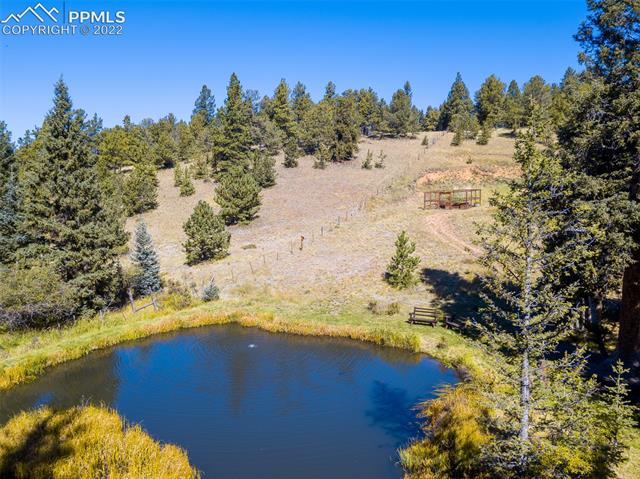 9455 Elk Ridge South Divide, CO 80814 - Photo 4 of 10 The fully stocked pond is aerated to stay flowing all year long
