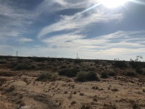 a view of a dry yard with wooden fence