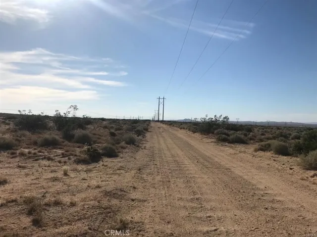 a view of a dry yard