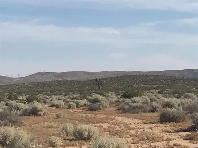 an aerial view of houses covered in trees