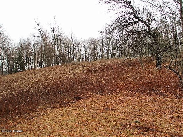 276 Goose Pond Road Lake Ariel, PA 18436 - Photo 3 of 11