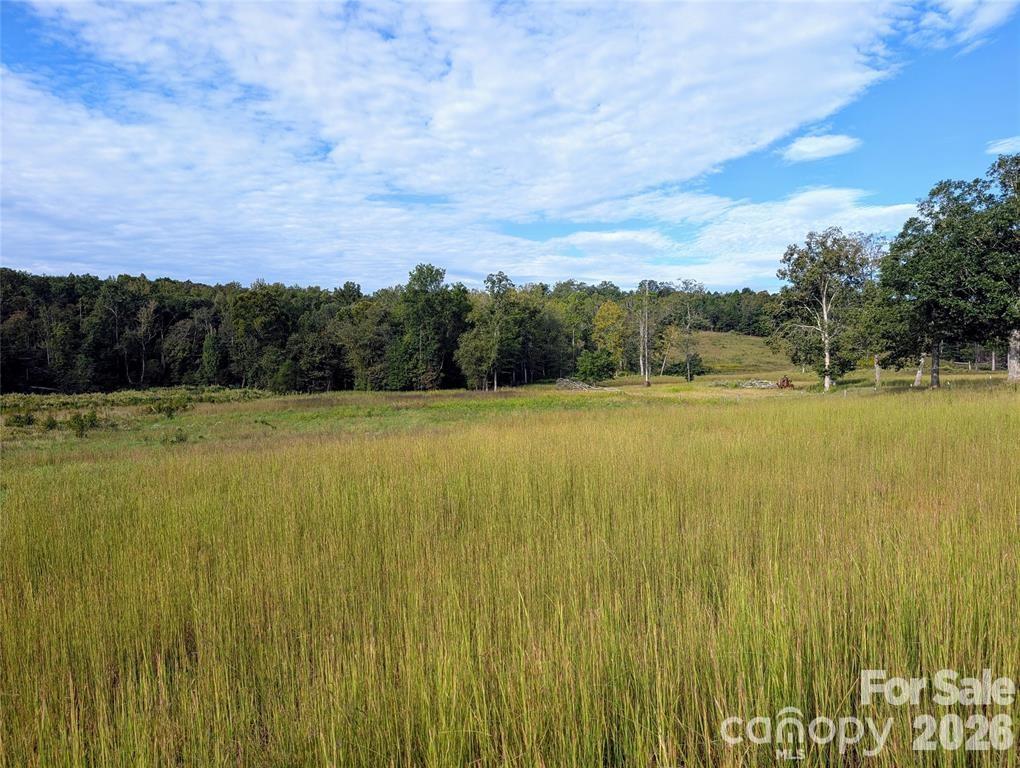 12-acres County Line Road Rutherfordton, NC 28139 - Photo 1 of 8 Gallery Image 1