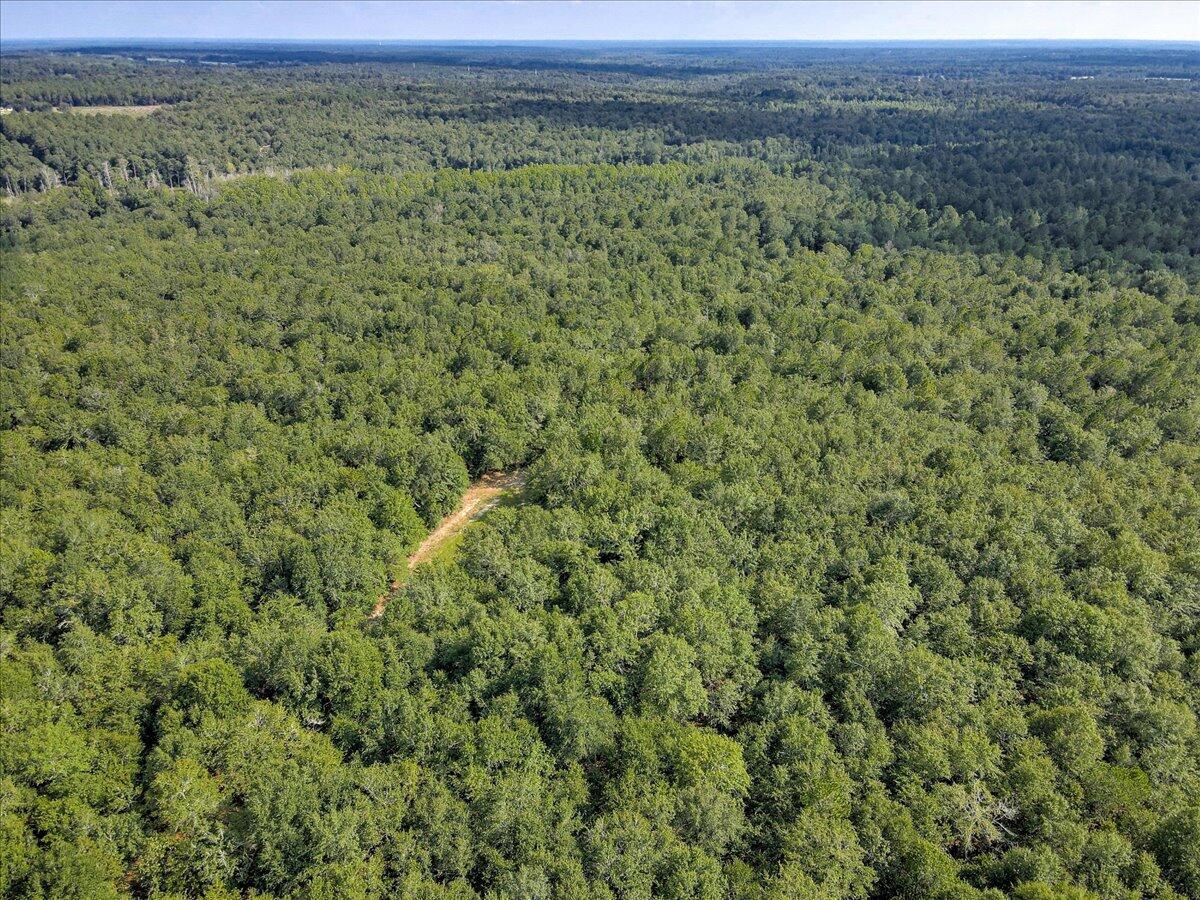 0 Millers Pond Road, Unit 4 Salley, SC 29137 - Photo 13 of 18