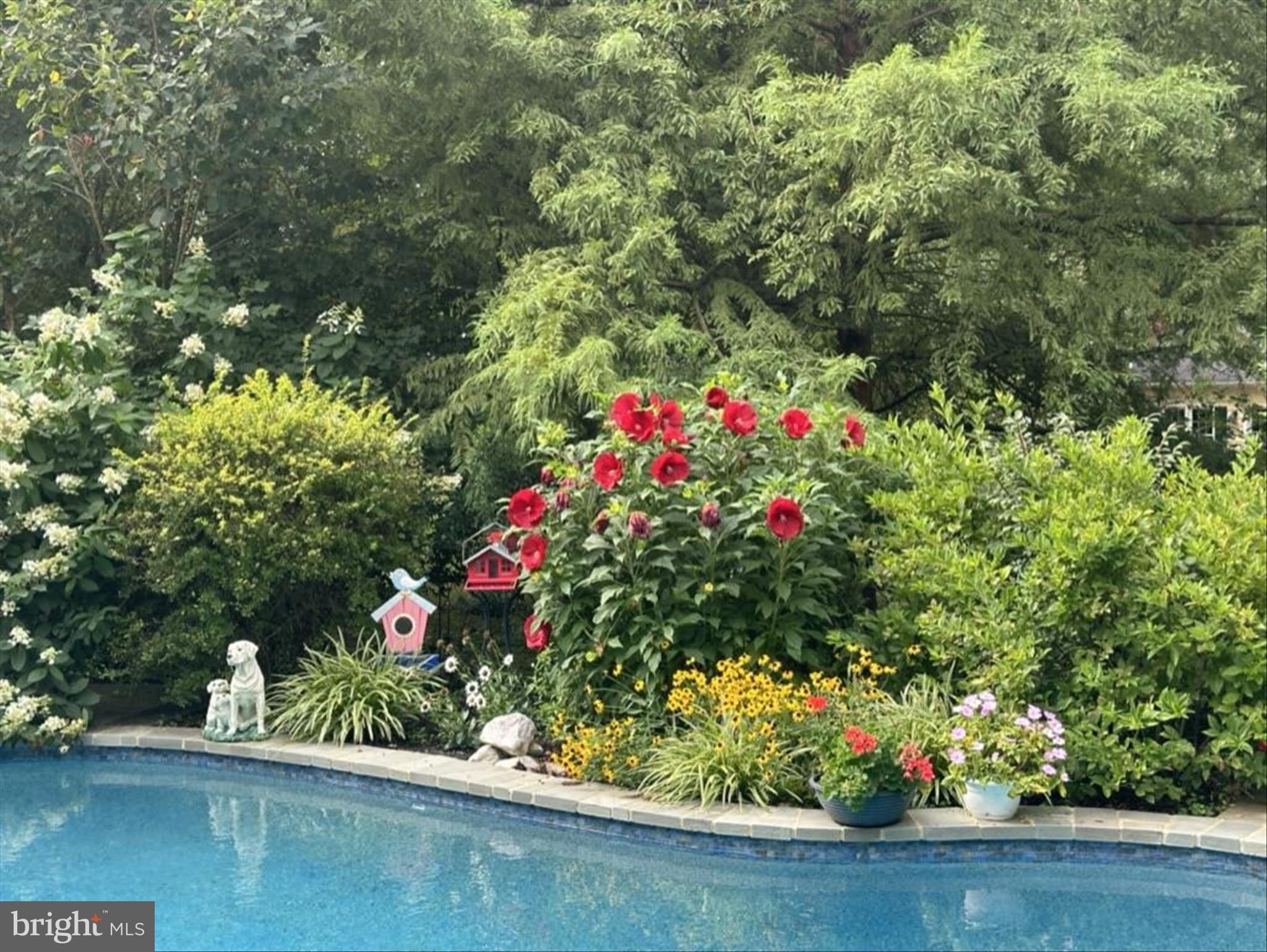 11810 Far Edge Path Columbia, MD 21044 - Photo 64 of 71 Landscaped Poolside Garden