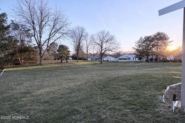 a view of a field with large trees