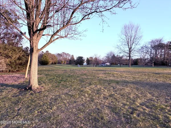 a view of a yard with trees