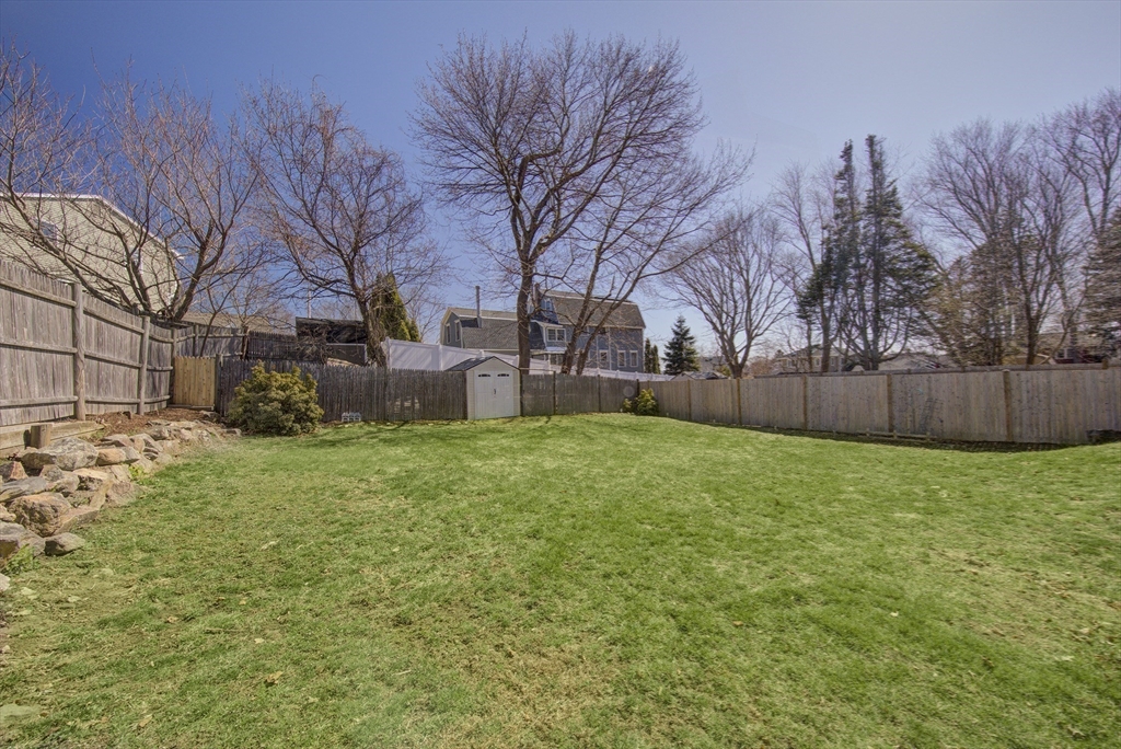 46 Winthrop Avenue Beverly, MA 01915 - Photo 29 of 29 a view of a backyard with large tree