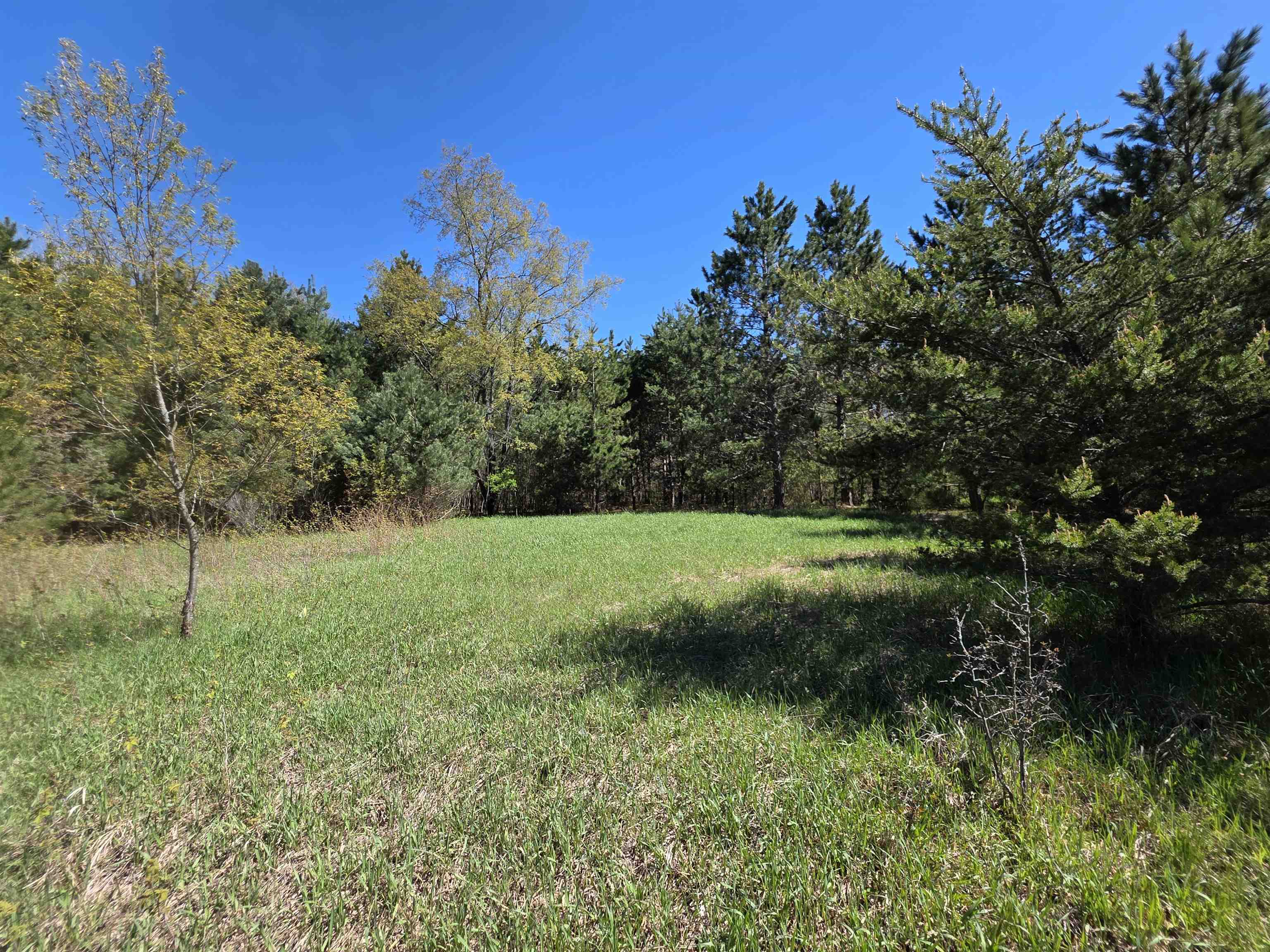 Vl 2-acres Arnold Road Manton, MI 49663 - Photo 6 of 15