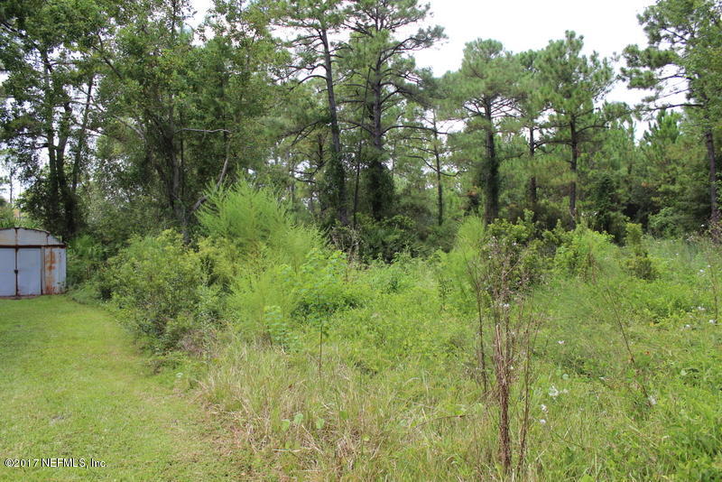 15577 Flounder Road Jacksonville, FL 32226 - Photo 26 of 35 a view of a lush green forest with lots of trees