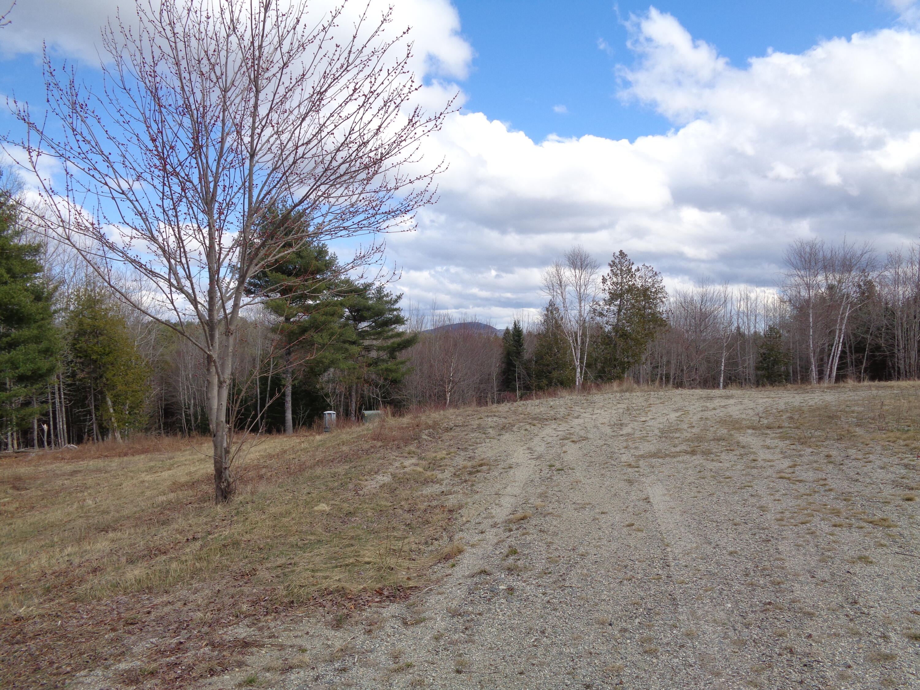Lot 17 Bailey Mountain Road Franklin, ME 04634 - Photo 13 of 18 Gravel road