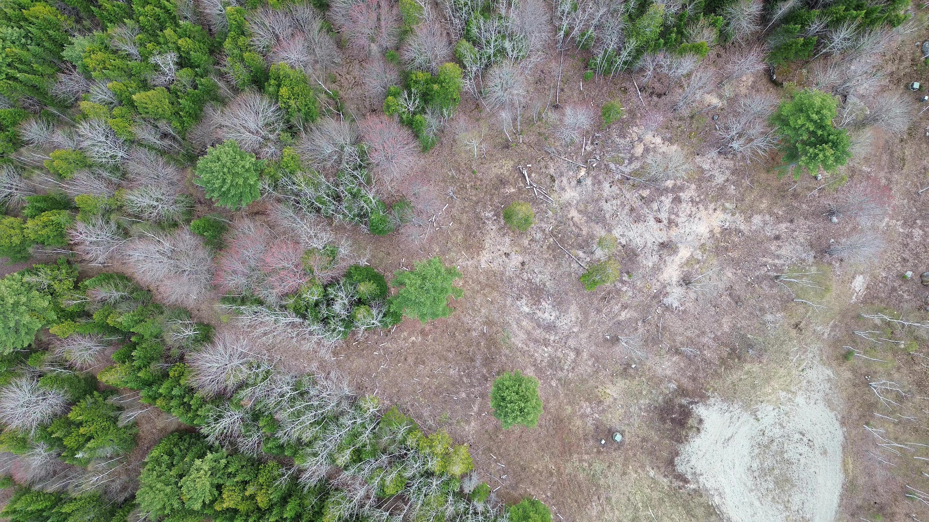 Lot 17 Bailey Mountain Road Franklin, ME 04634 - Photo 3 of 18 LOT 17