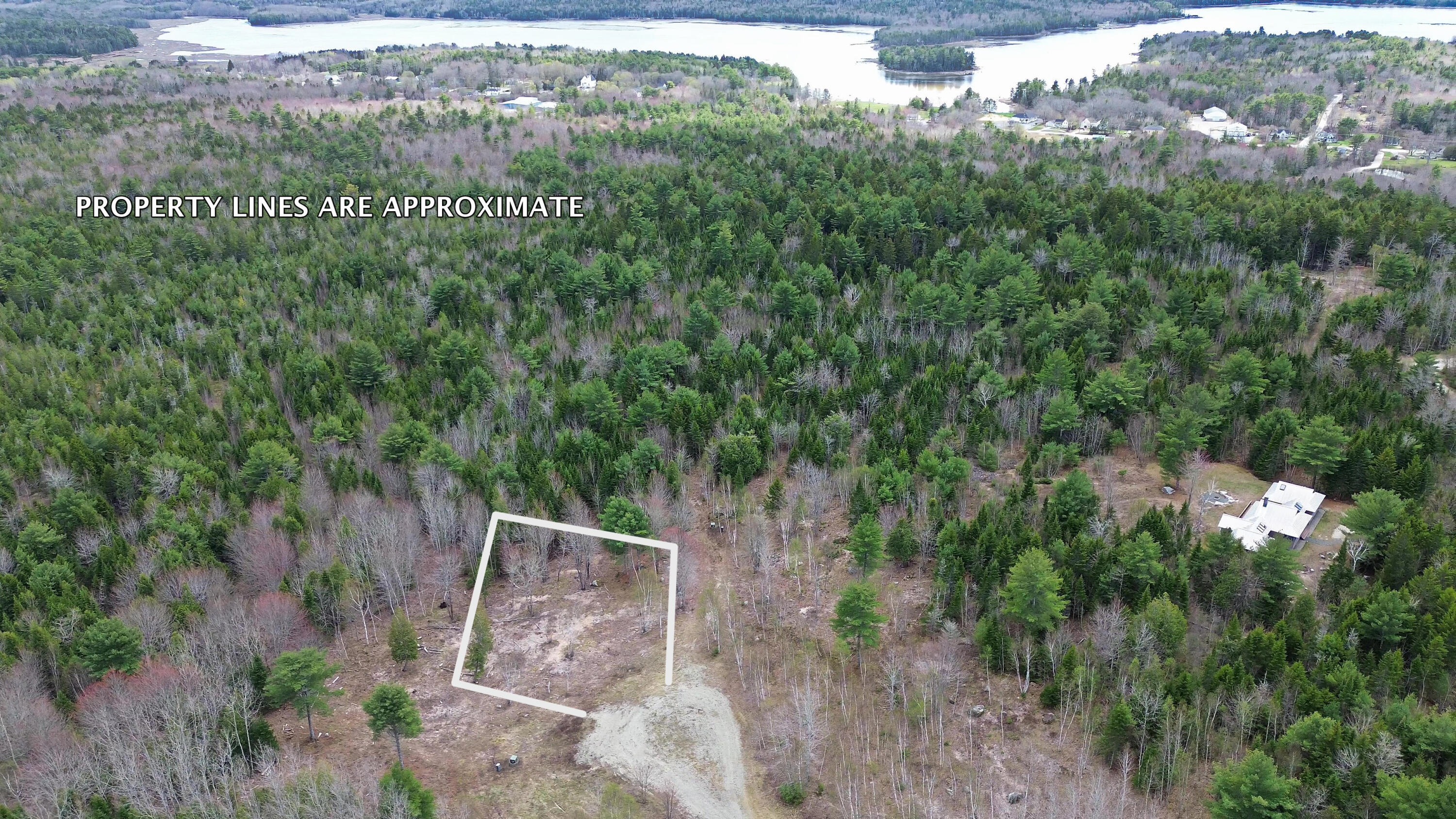 Lot 17 Bailey Mountain Road Franklin, ME 04634 - Photo 5 of 18 LOT 17 Approx. boundary