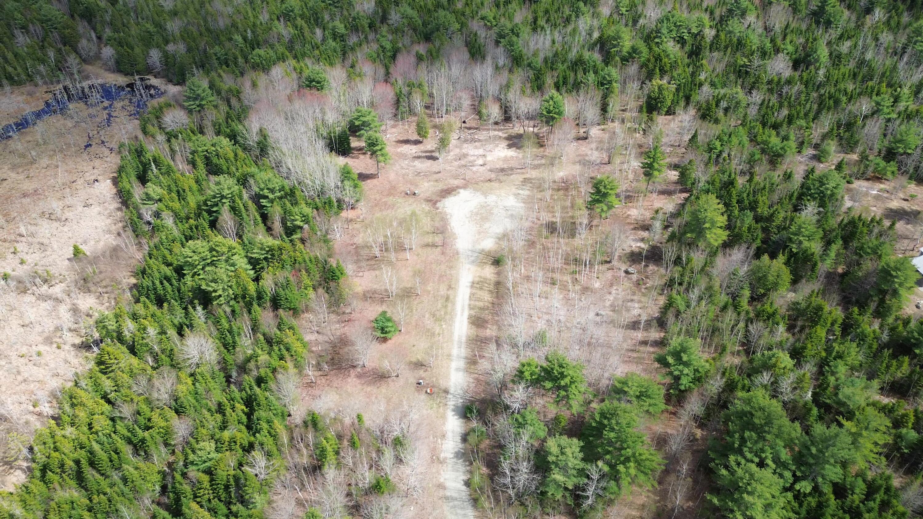 Lot 17 Bailey Mountain Road Franklin, ME 04634 - Photo 7 of 18 LOT 17 Cul de sac