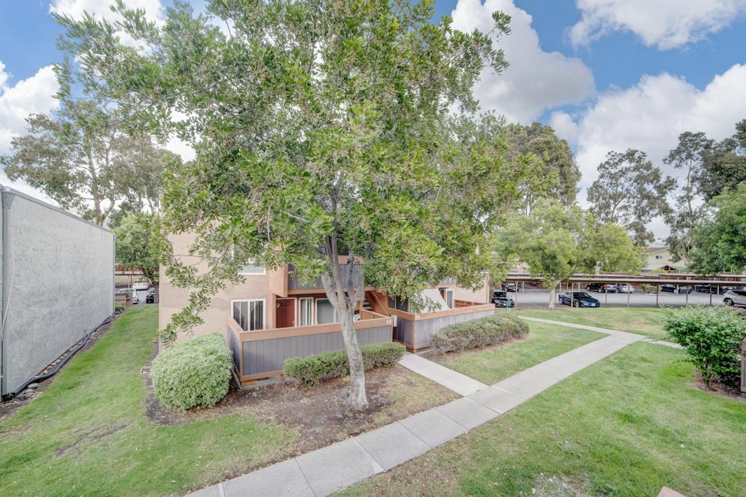 452 Dempsey Road, Unit 253 Milpitas, CA 95035 - Photo 18 of 26 a view of a backyard with large trees