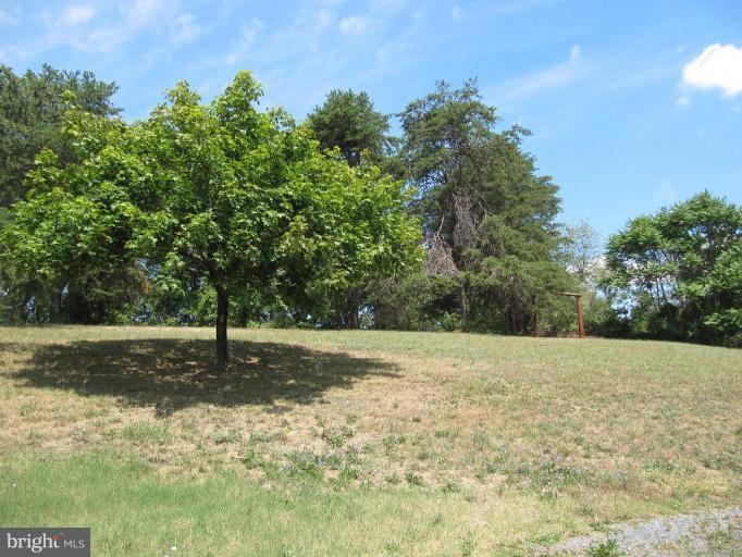 122 Whipporwill Road Front Royal, VA 22630 - Photo 11 of 13 Back yard