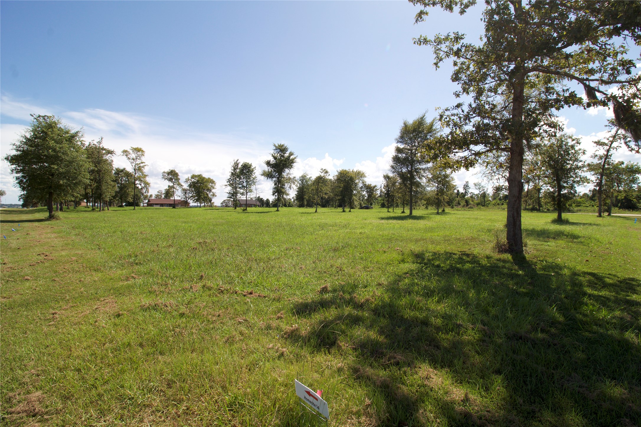 36 Falcon Point Onalaska, TX 77360 - Photo 4 of 7
