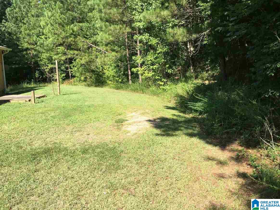 848 Boat Landing Road Oneonta, AL 35121 - Photo 15 of 22