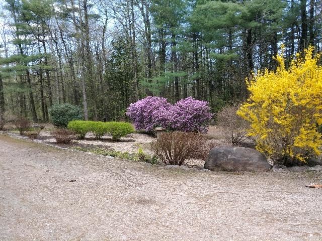 248 West Salisbury Road Salisbury, NH 03268 - Photo 2 of 13 Gallery Image 2