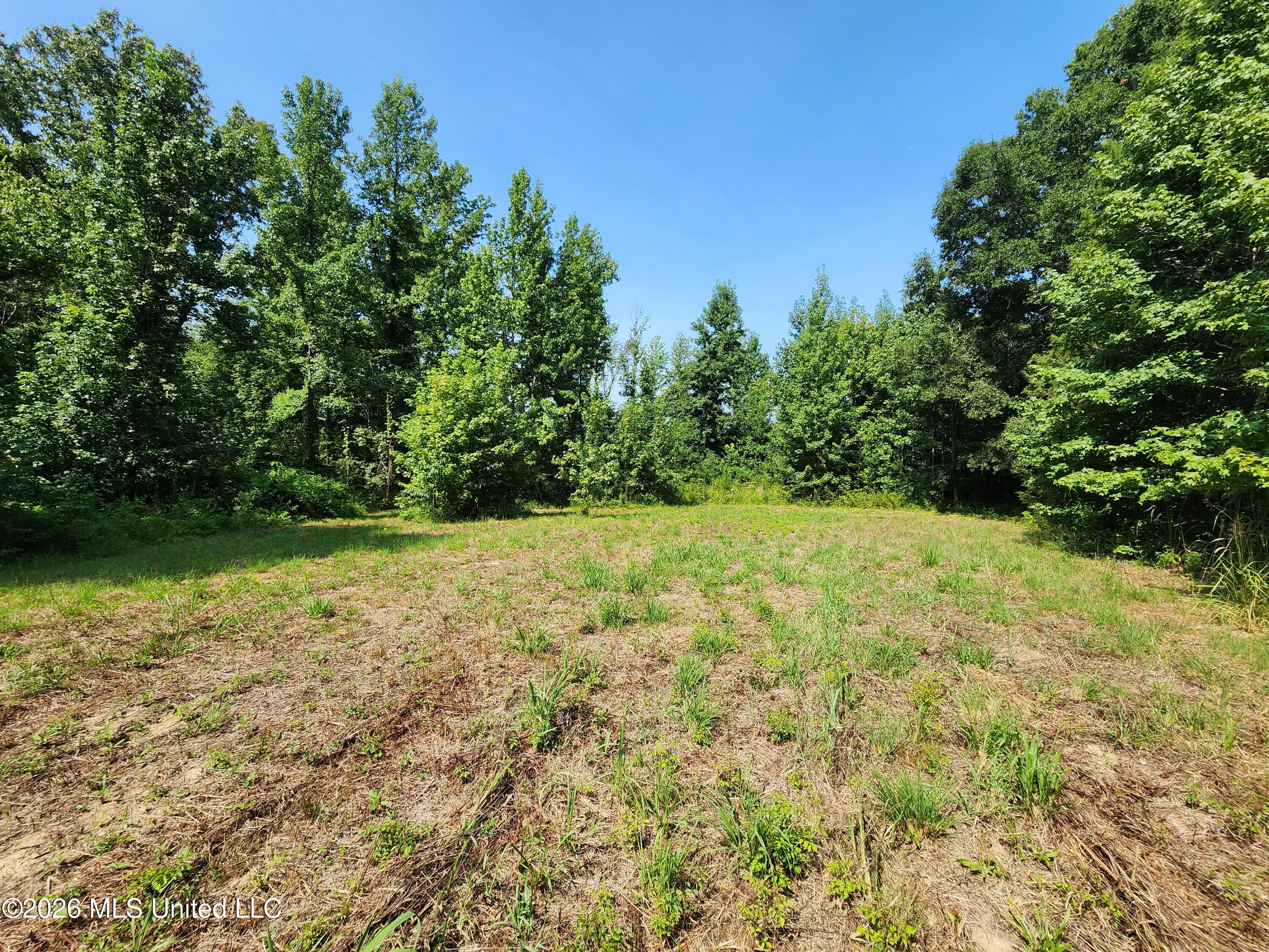 Barnacre Road Batesville, MS 38606 - Photo 11 of 28 20260805_105632