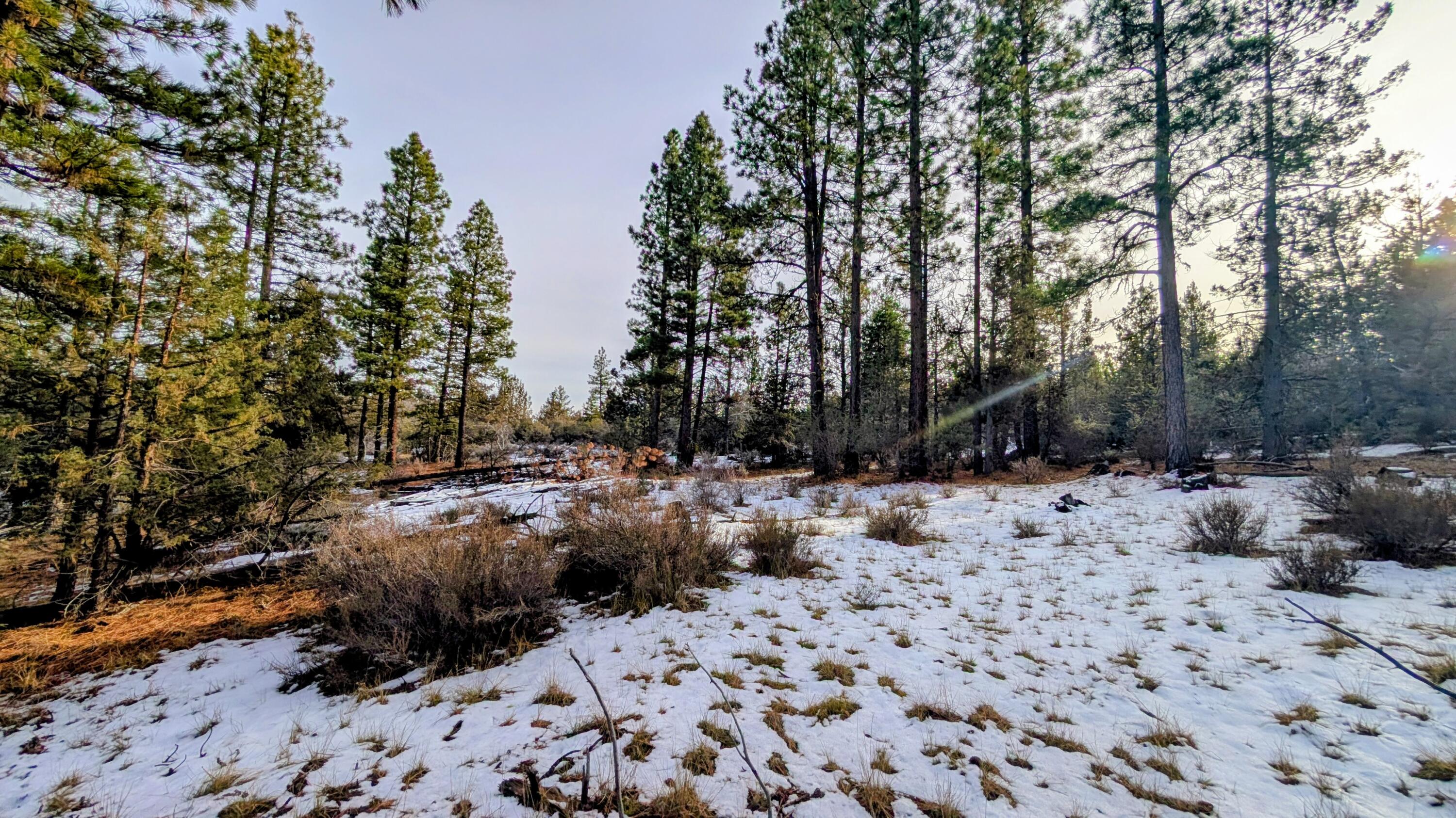 19900 Patten Meadow Road Lakeview, OR 97630 - Photo 21 of 32 1000009092