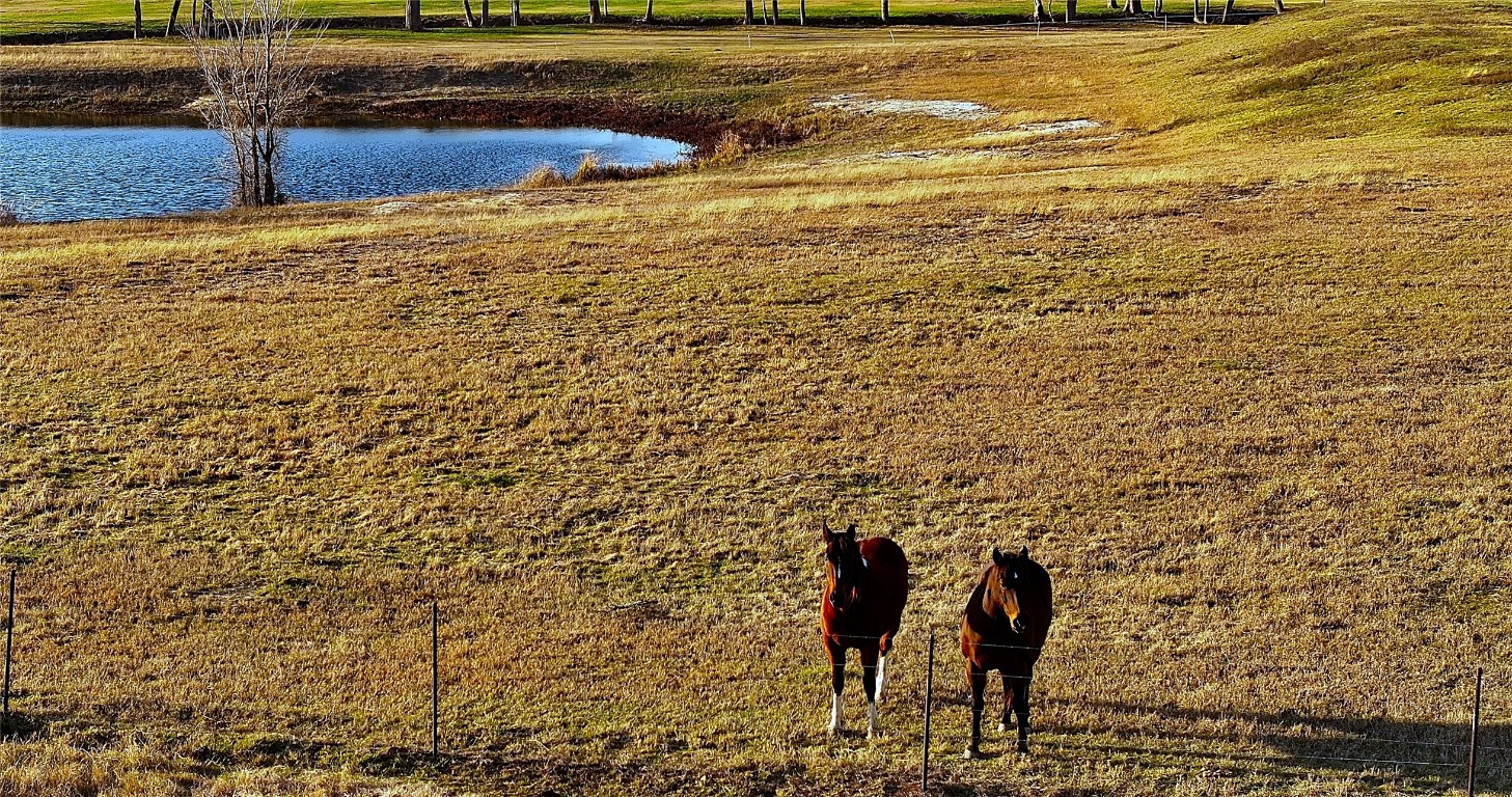 3283-30 Fm 2562 Road Anderson, TX 77830 - Photo 21 of 27 a view of a terrace with wooden floor