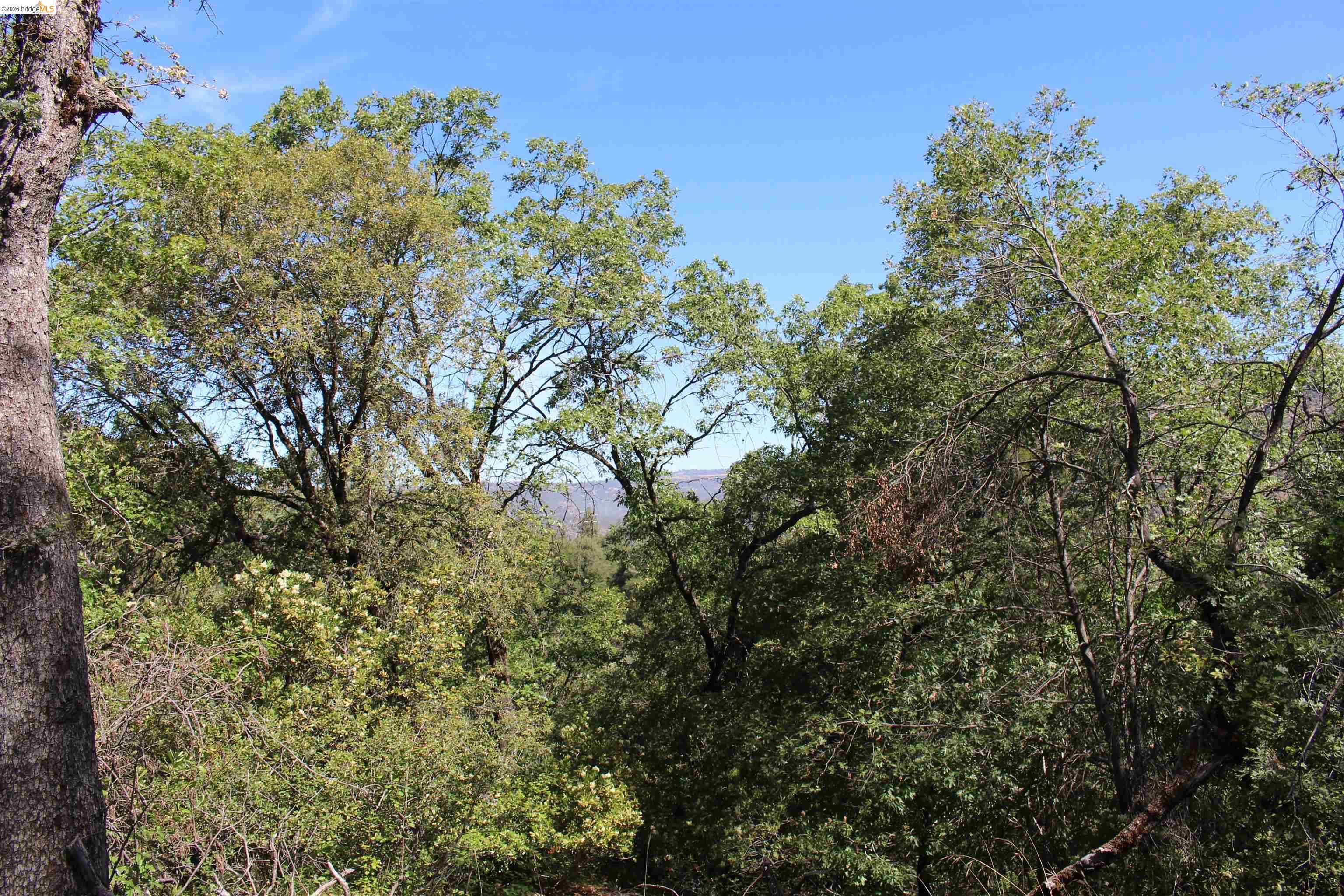 12000 Cattle Drive Trail Columbia, CA 95310 - Photo 13 of 24