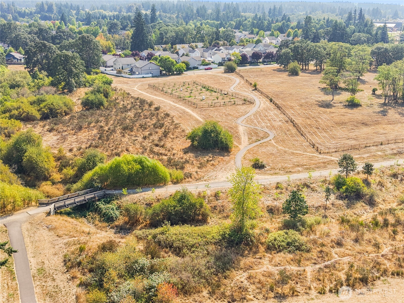 1331 Rowan Court DuPont, WA 98327 - Photo 29 of 31 a view of a backyard of a house
