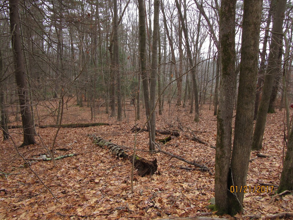 Lot 2 Rocky Hill Road Northampton, MA 01062 - Photo 9 of 10 Gallery Image 9