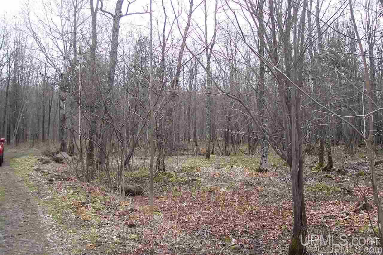 9233 East Shore Road Marenisco, MI 49947 - Photo 19 of 21 Gallery Image 19
