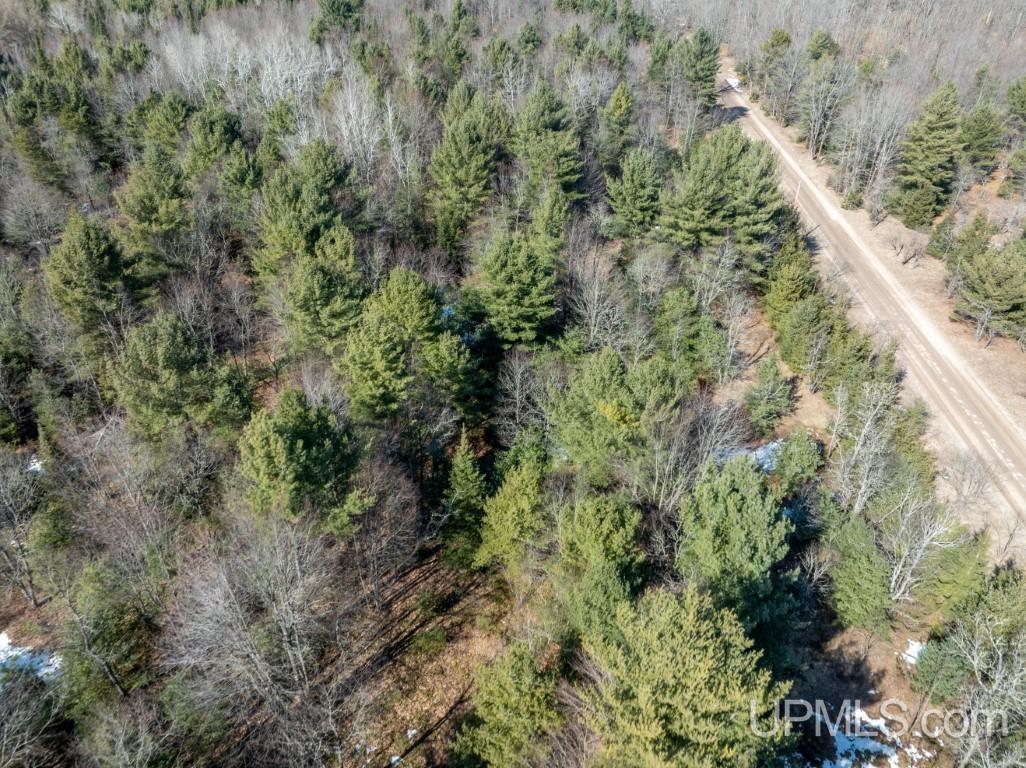 Tbd Dd Road Wetmore, MI 49895 - Photo 19 of 22