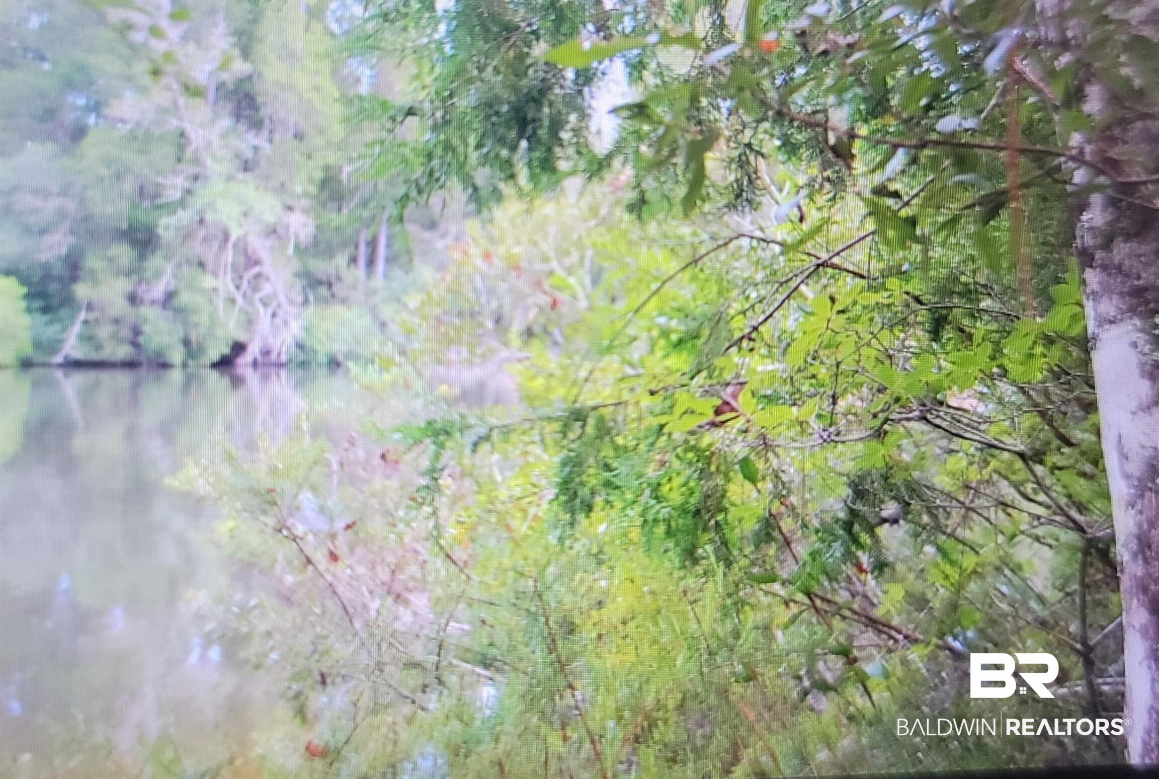 0 Juniper Road Seminole, AL 36574 - Photo 22 of 26