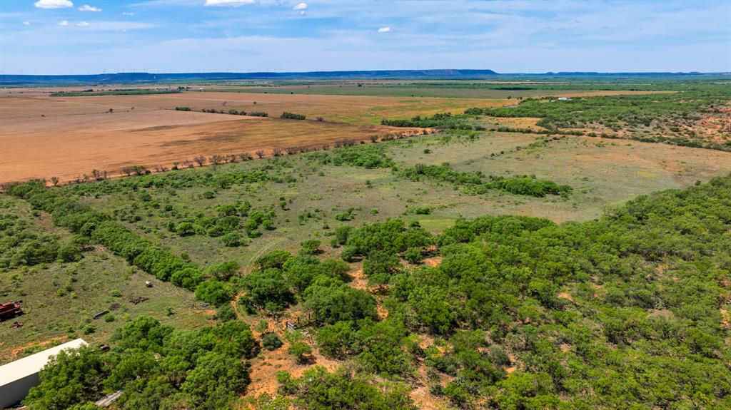 179 County Road Trent, TX 79561 - Photo 26 of 28