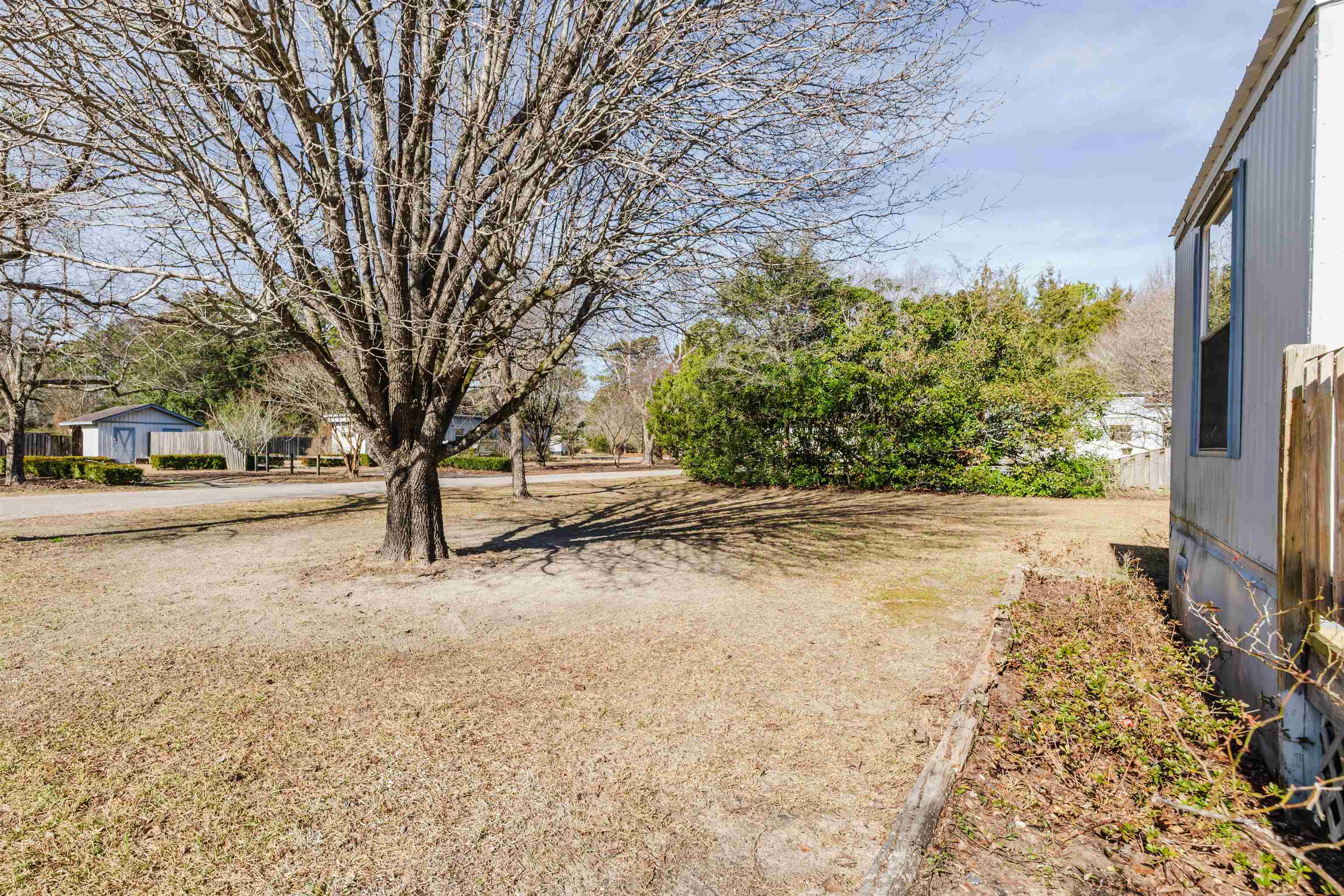 1805 Cactus Drive Loris, SC 29569 - Photo 25 of 31 View of yard
