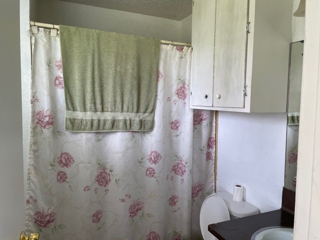 801 Old Austin Pflugerville Road Pflugerville, TX 78660 - Photo 5 of 24 Primary/full bath