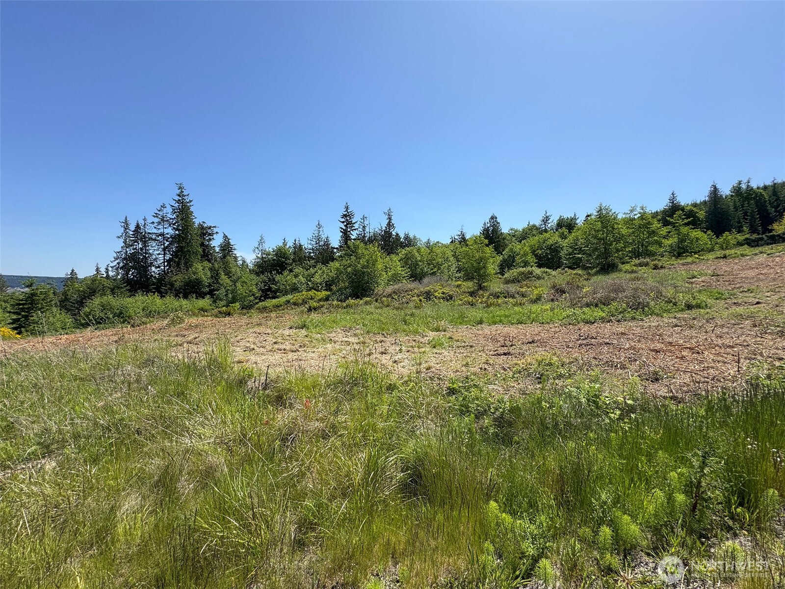 9999 View Ridge Drive Sequim, WA 98382 - Photo 31 of 40 Gallery Image 31