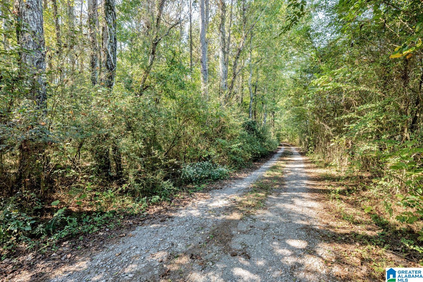 920 Coupland Road Odenville, AL 35120 - Photo 32 of 37